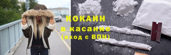 шишки Протвино