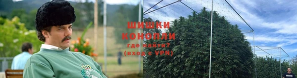 шишки Протвино
