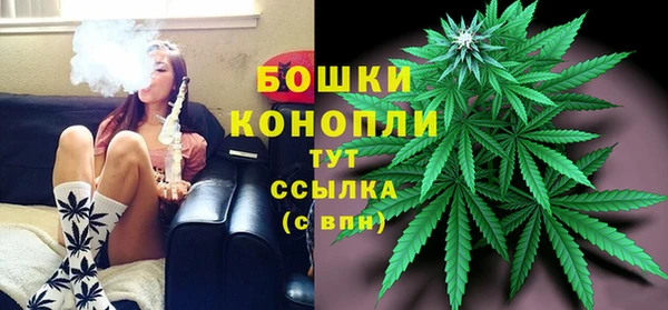 шишки Дрезна