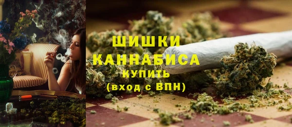шишки Протвино