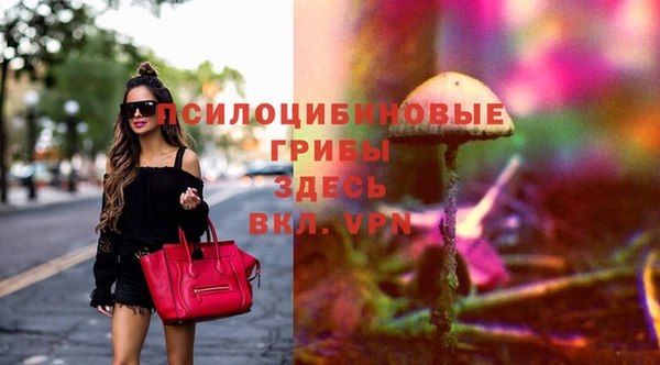 шишки Протвино