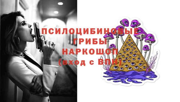 шишки Протвино