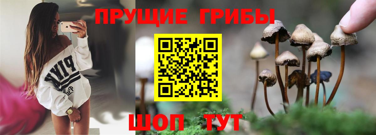 Галлюциногенные грибы GOLDEN TEACHER Рассказово